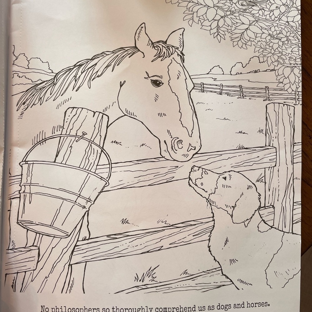Strong Spirit Coloring Art Book - Picture 3 of 6